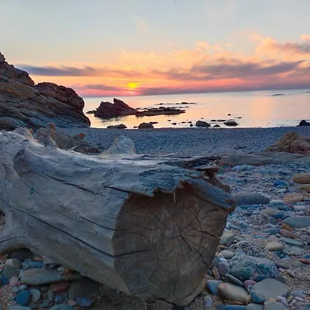 Sa Paxi شقة أربوس