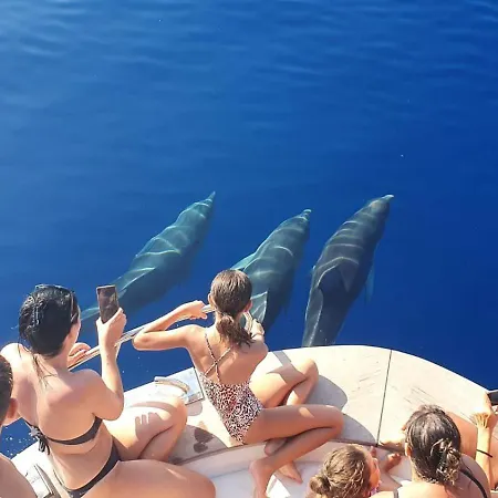 Sa Paxi Appartement *