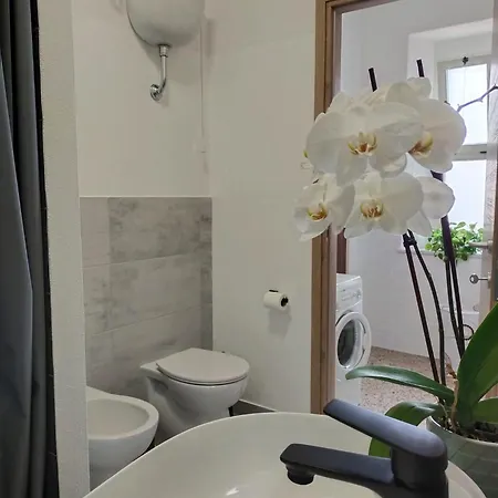 Sa Paxi Apartment Arbus