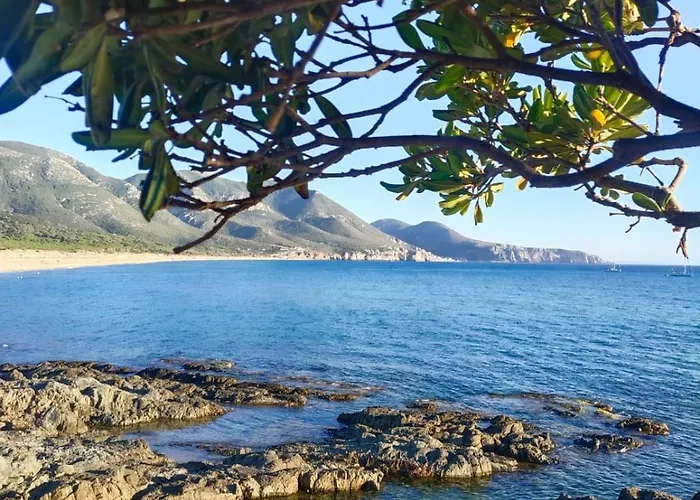 Sa Paxi * Арбус