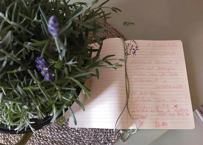 Sa Paxi * Арбус