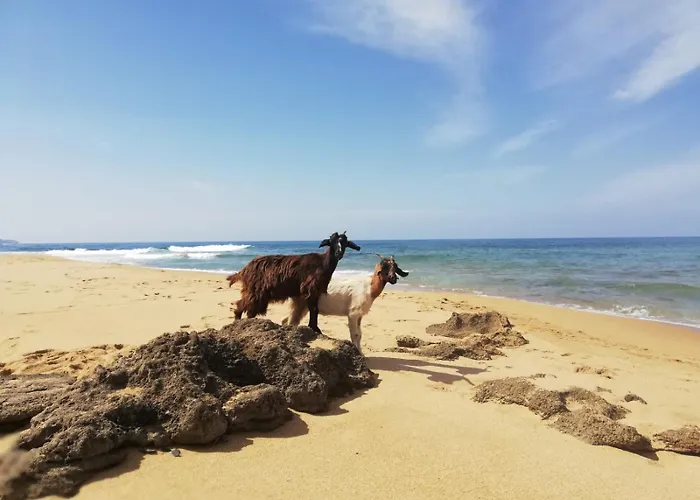 Sa Paxi Appartamento