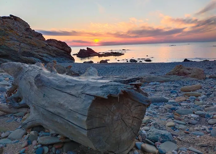 Sa Paxi Апартаменты Арбус