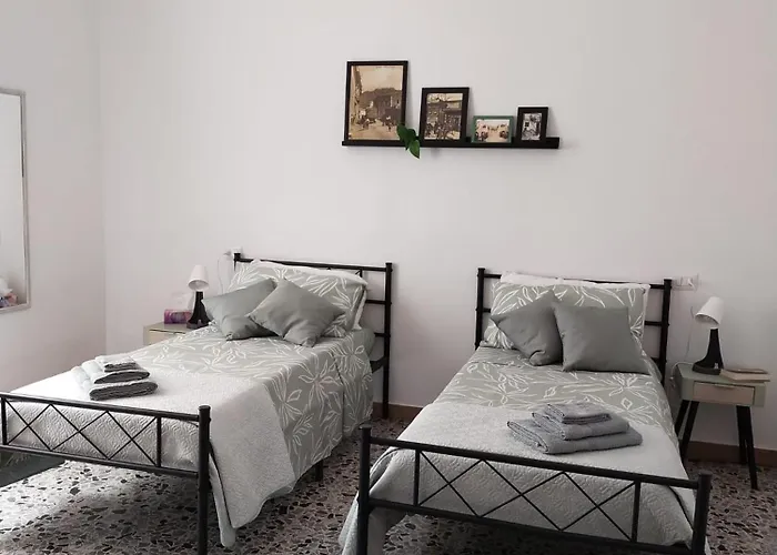 Sa Paxi * Арбус