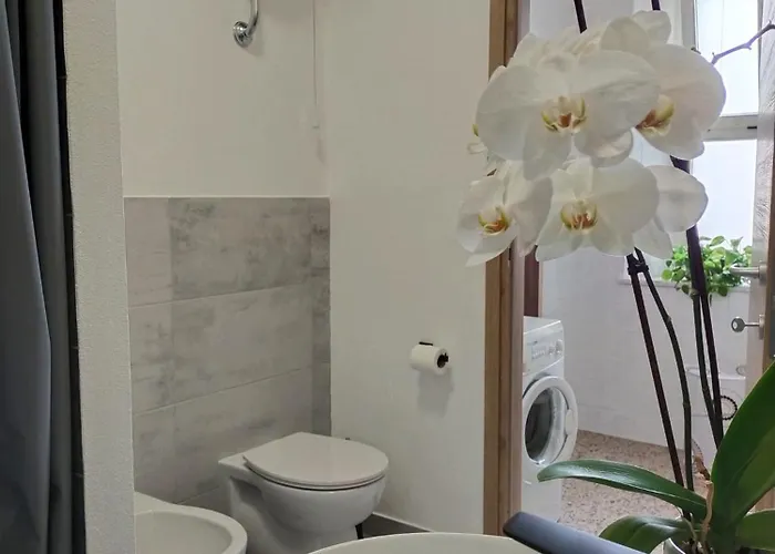 Sa Paxi Апартаменты Арбус